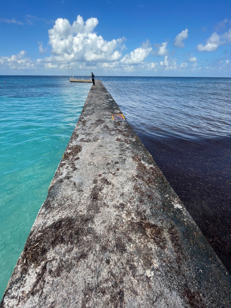 This is the pier that separates the seaweed side from the snorkel side